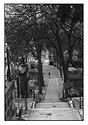 Cimetière du Montparnasse