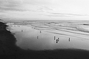 Ocean Beach