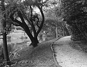 Governor's Palace Gardens