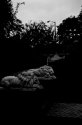 Lions, Lynch Park, Beverly, Mass.