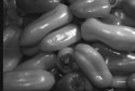 Peppers