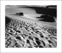 Footprints, Mesquite Dunes
