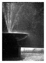 Fountain