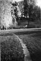 Arboretum jogger
