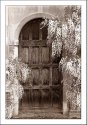 Door and Wisteria