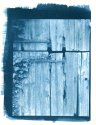 Barndoor - Cyanotype untoned