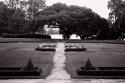 Middleton Gardens