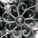 Charleston Iron