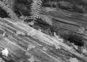 Rain Forest Log