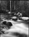 Ghost Nude, Bishop Creek