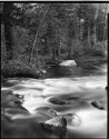 Bishop Creek, Sabrina Camp