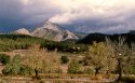 Puig des Galatzo