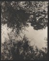 Ode to Pictorialism, Kenilworth Gardens
