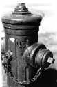 Fire Hydrant