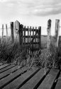 Gate at Newtown