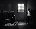 Porch light noir.20231207-L1044781.jpg