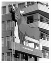 The Durham Bull