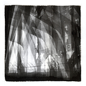 Triboro (2013)