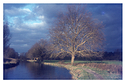 Water Meadows - Winchester - The light before a storm