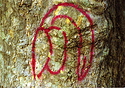 RTS II Gold 200 11.jpg