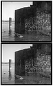 Flic Film Black/White & Green & PC-TEA