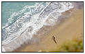 Beach walkers
