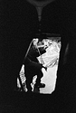Violinist in a Basement