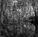 Guadalix river