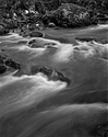 Pamplinas creek 3