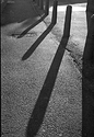 Shadows 02