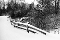 Snowy Fence