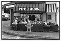 PET FOODS