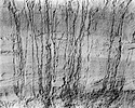 Sand patterns