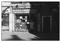 Dog shop - Venice