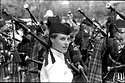Piper