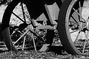 Wagon.JPG