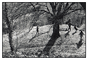 Woodland Play
