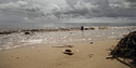 Shore.jpg