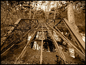 Bridge over Creek