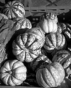 img007.jpg
