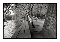 Man and Tree - Prague