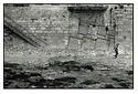 Homage to Tarkovsky