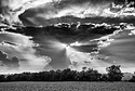 Sunburst