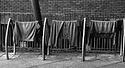 Hanging out My Washing