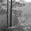 Close To The Edge #1