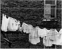 The Neighbor's Laundry
