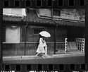 Parasol