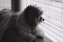Watching