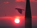 minaret.jpg