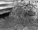 Freeman's Wheel